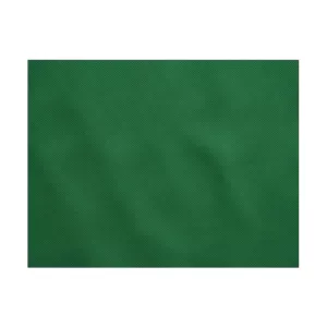 Set de table TNT 60g/m 30x40cm  Vert